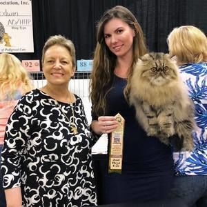 Meet your Posher, Lena